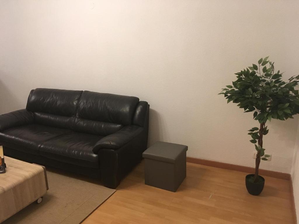 Le gîte du château du Fleckenstein - Photo 28