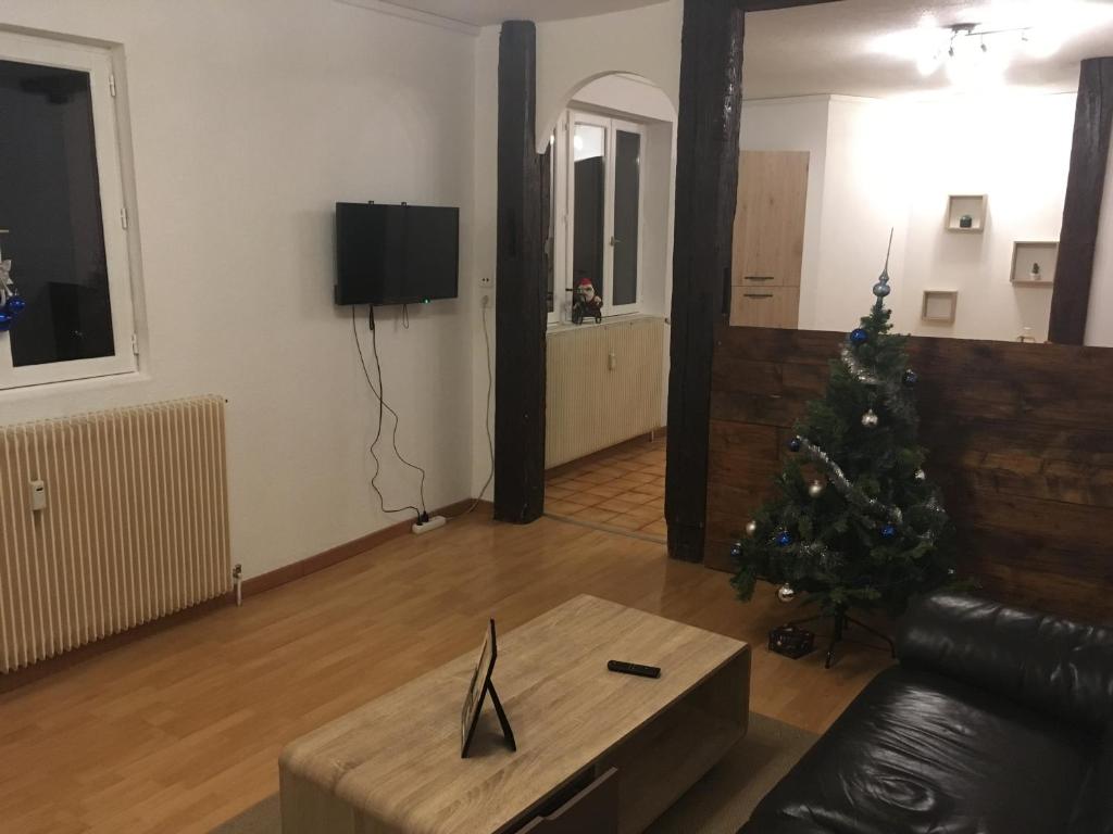 Le gîte du château du Fleckenstein - Photo 29