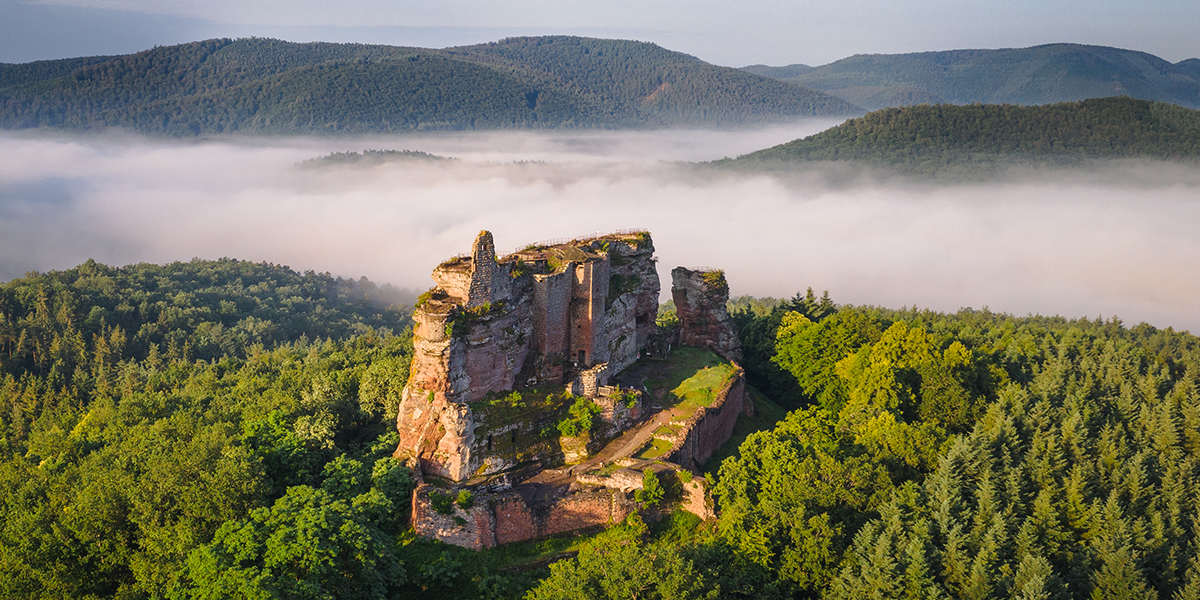 Le gîte du château du Fleckenstein - Photo 1