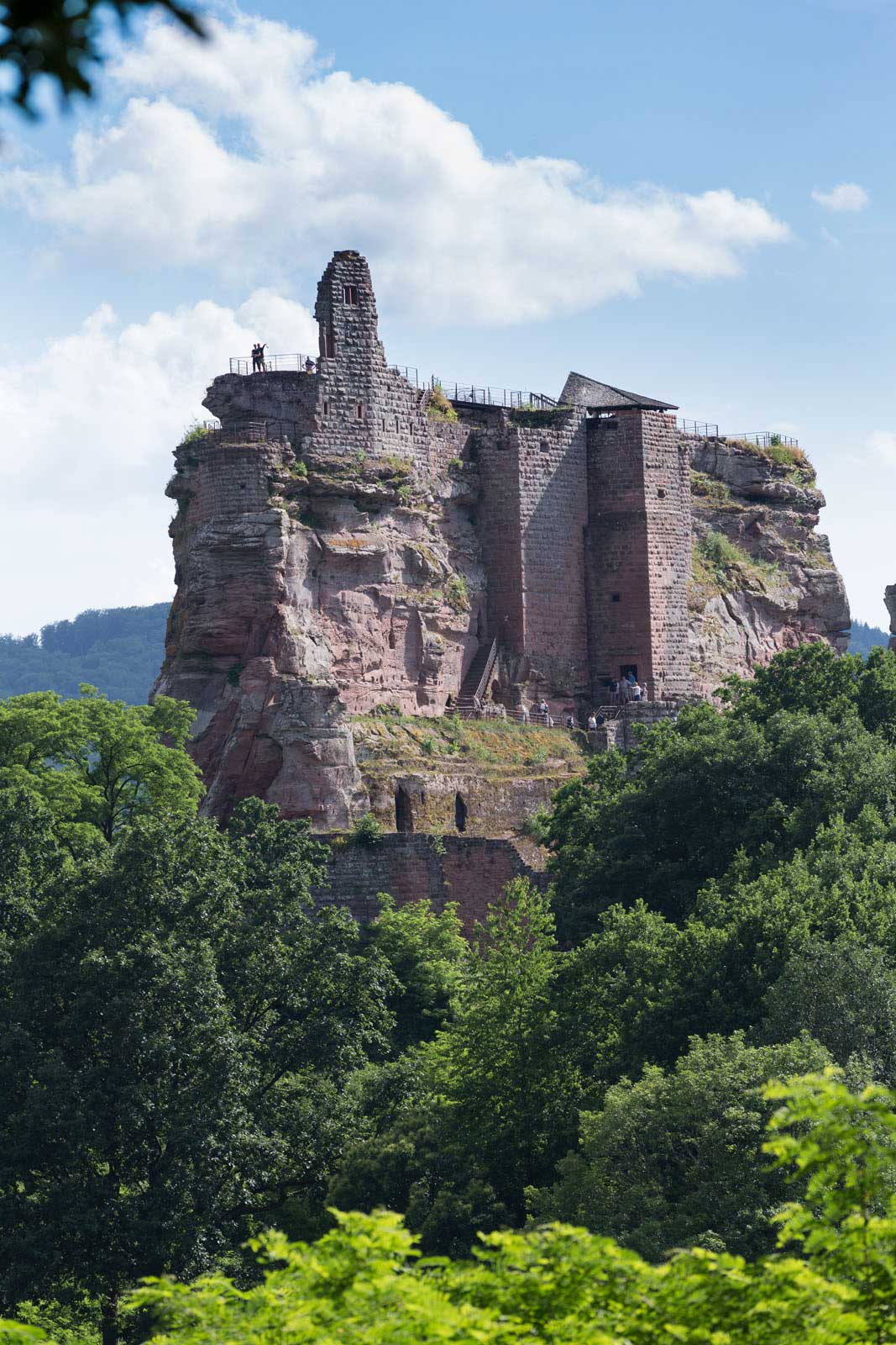 Le gîte du château du Fleckenstein - Photo 2