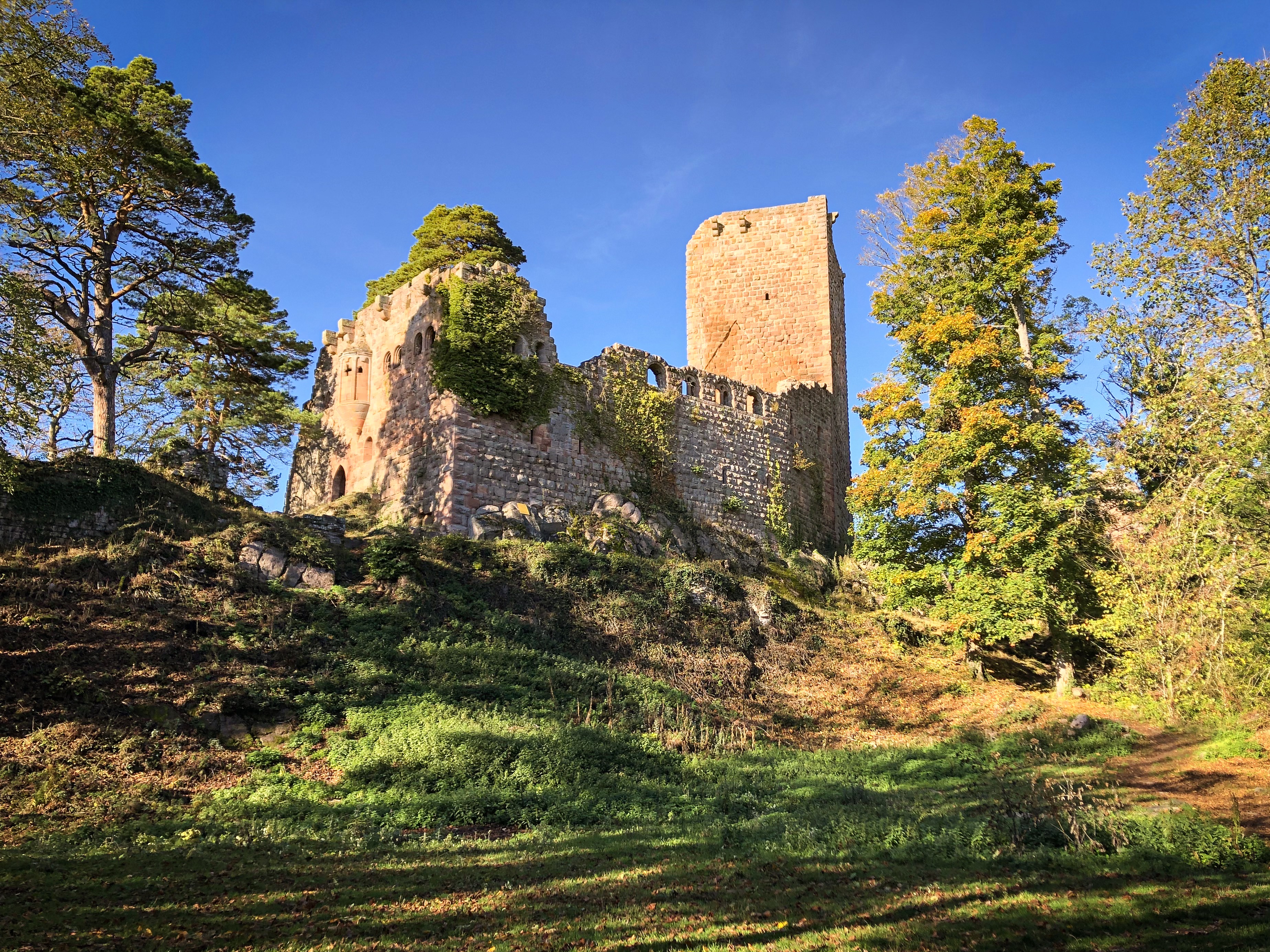 Le gîte du château du Landsberg - Photo 1