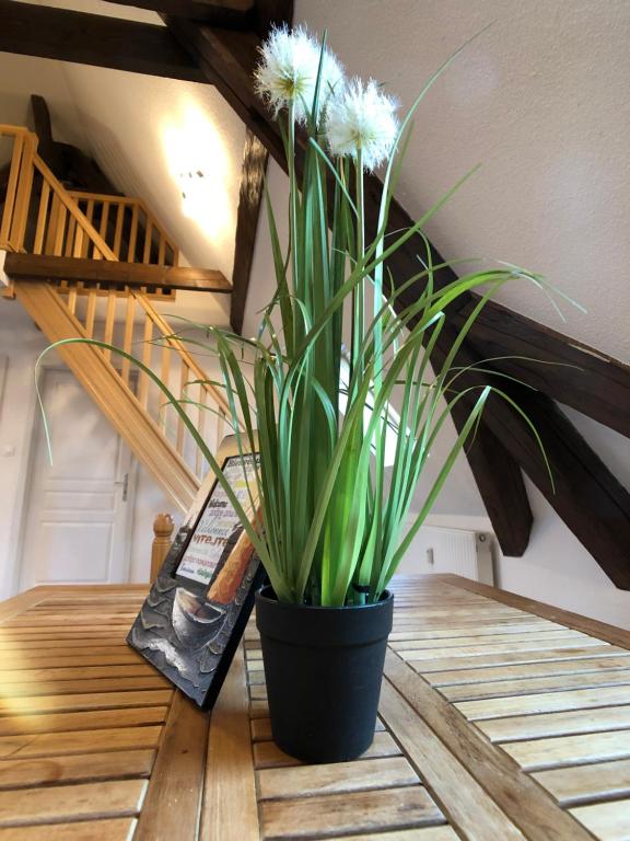 Le gîte du château du Haut-Koenigsbourg - Photo 25