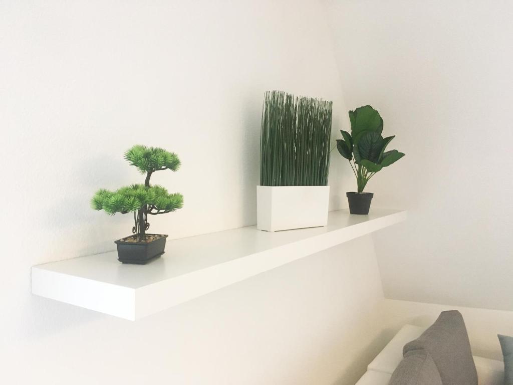 Le gîte des châteaux d’Ottrott - Photo 40